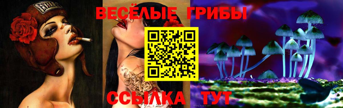 Россошь  Псилоцибиновые грибы Psilocybine cubensis  Вход с VPN 